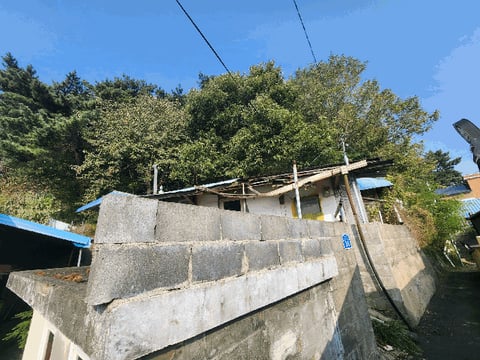 물건 사진 16