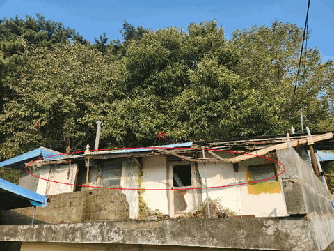 물건 사진 17
