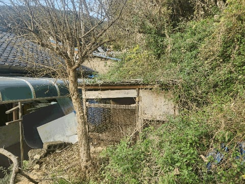 물건 사진 18