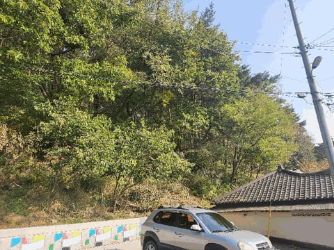 물건 사진 21