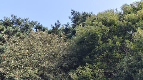 물건 사진 10