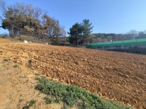물건 사진 3