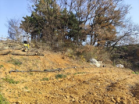 물건 사진 4