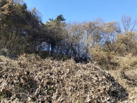 물건 사진 1