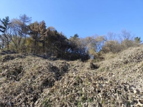 물건 사진 2