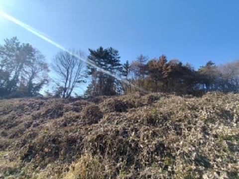 물건 사진 3