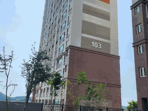 물건 사진 31