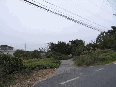 물건 사진 19