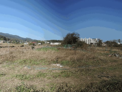 물건 사진 3