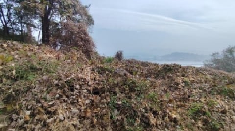 물건 사진 1