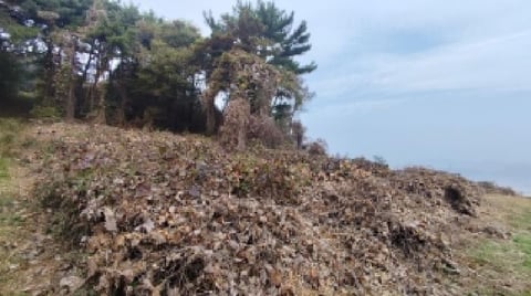 물건 사진 2