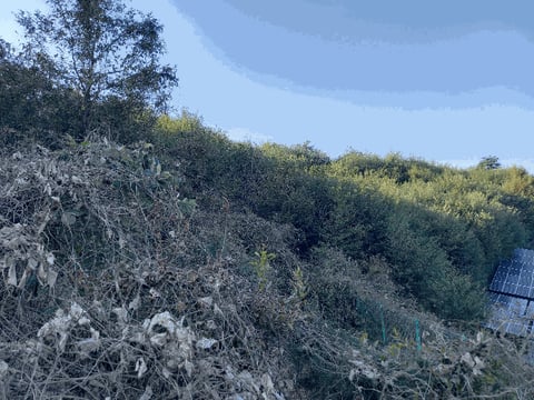 물건 사진 13