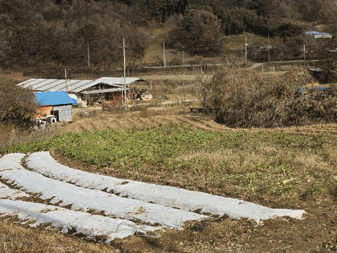 물건 사진 6