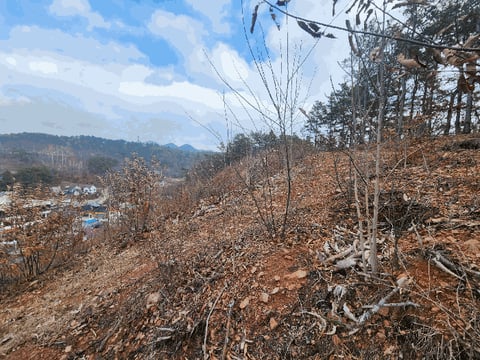 물건 사진 13