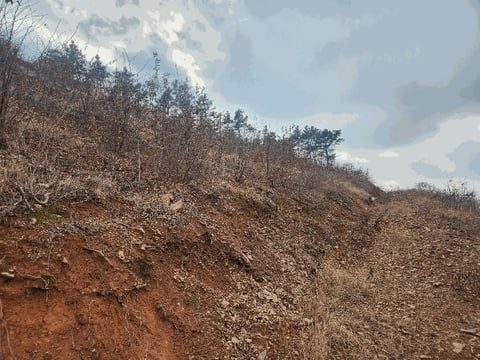 물건 사진 18
