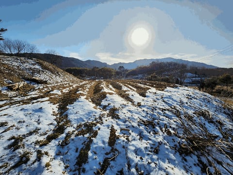 물건 사진 15
