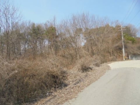 물건 사진 4