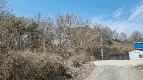 물건 사진 54