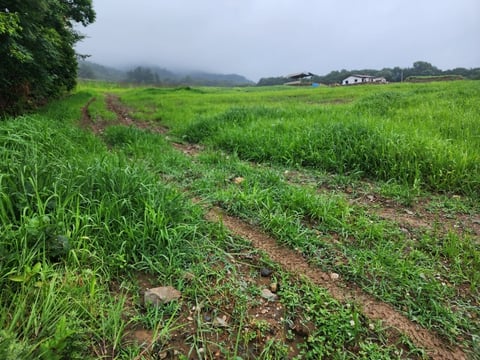 물건 사진 6
