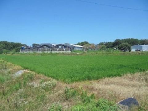 물건 사진 4