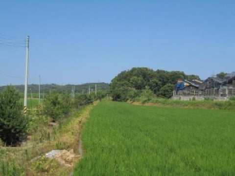물건 사진 5
