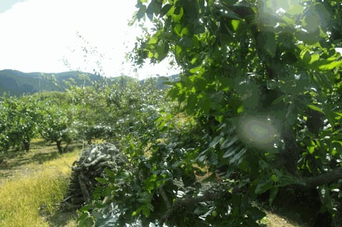 물건 사진 26