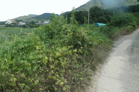 물건 사진 28