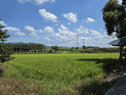 물건 사진 16