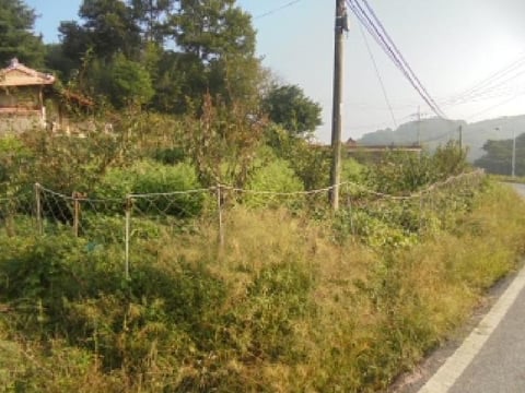 물건 사진 1