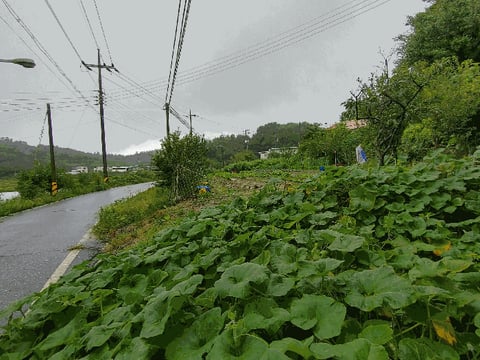 물건 사진 5