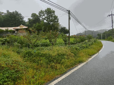 물건 사진 7