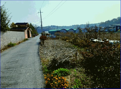 물건 사진 23