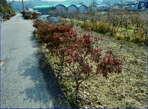 물건 사진 24