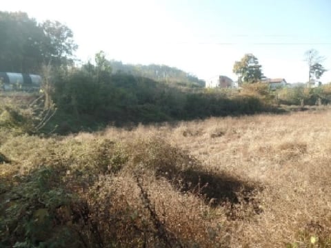 물건 사진 12