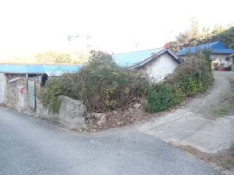 물건 사진 5