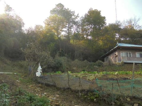 물건 사진 1