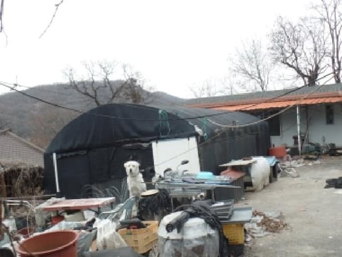 물건 사진 11
