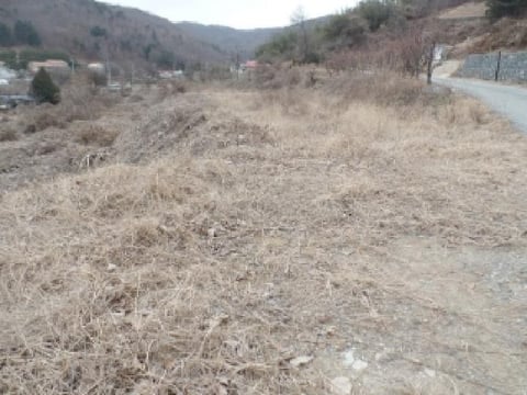 물건 사진 13