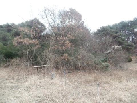 물건 사진 17