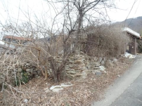 물건 사진 19