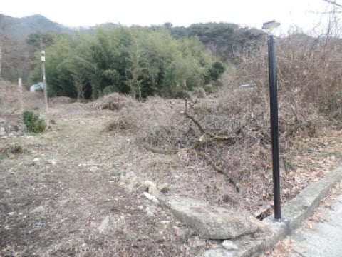 물건 사진 20