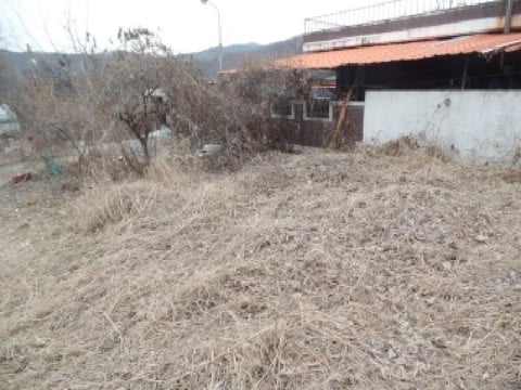 물건 사진 21