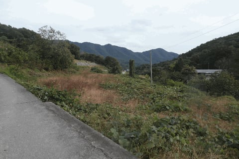 물건 사진 38