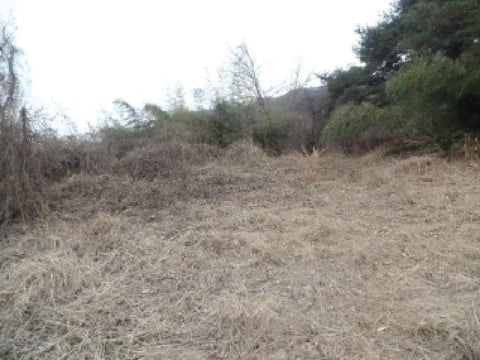 물건 사진 5