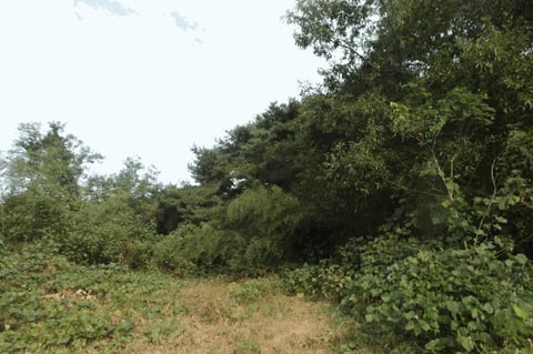 물건 사진 54