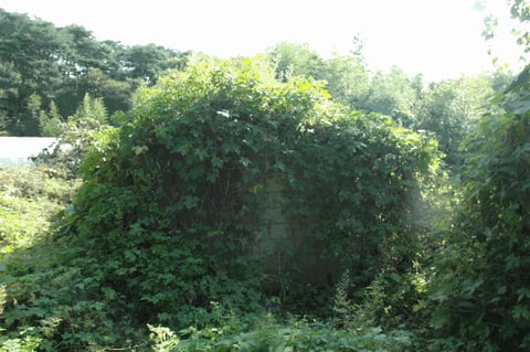 물건 사진 58