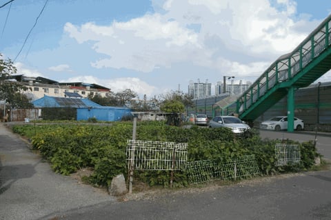 물건 사진 6