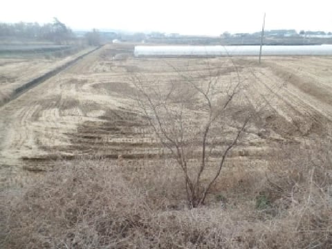 물건 사진 1