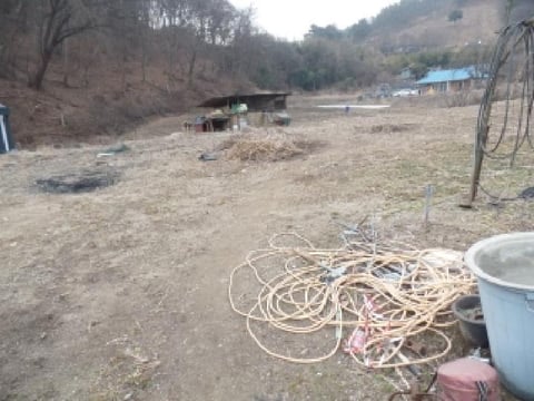 물건 사진 1