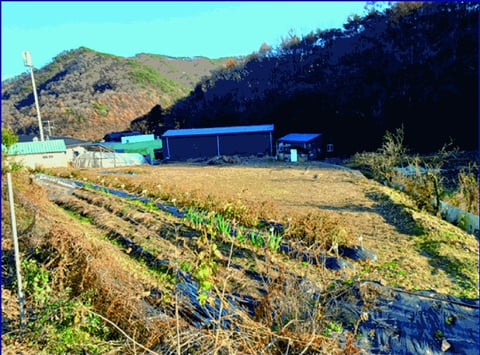 물건 사진 20